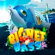 Big Net Bass