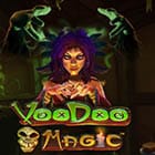 Voodoo Magic game icon